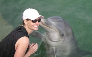 Figure 1 Flow and fun with Dolphin