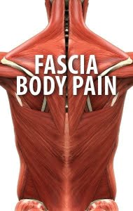 Fascia Back
