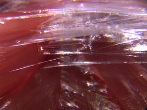 fascia1
