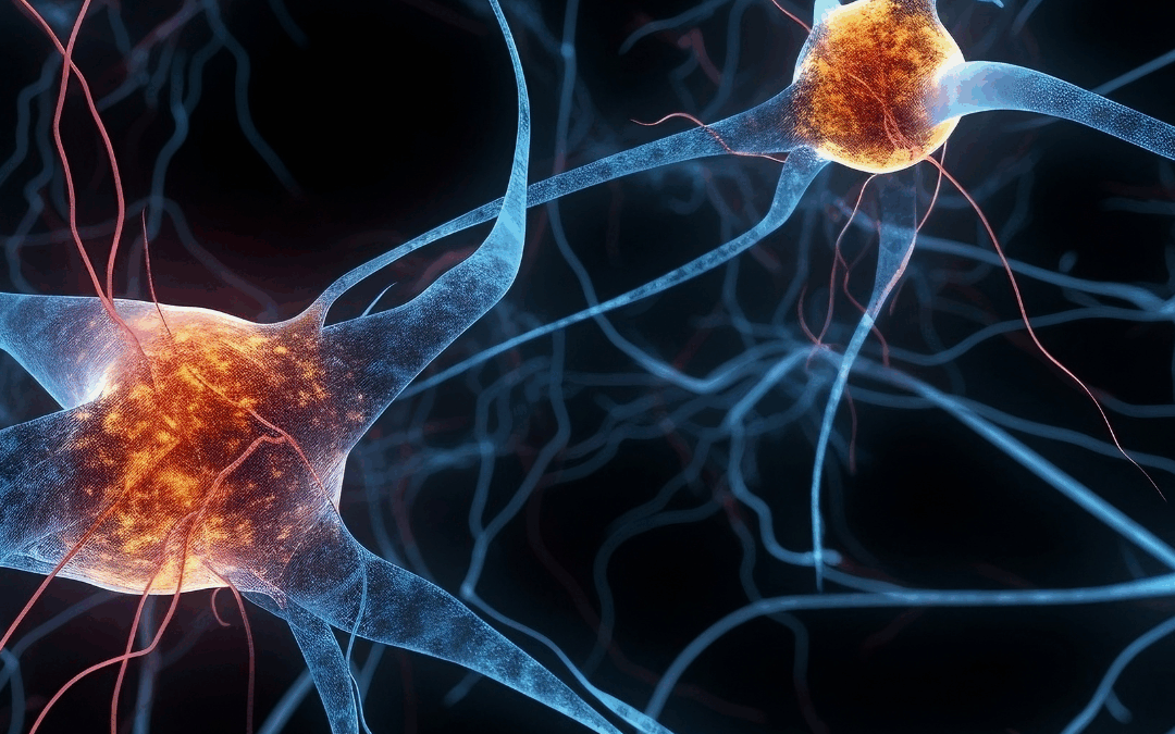 Willpower Is a Lie: Why You Don’t Fail, Your Brain Does